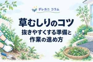 草むしりのコツ：抜きやすくする準備と作業の進め方